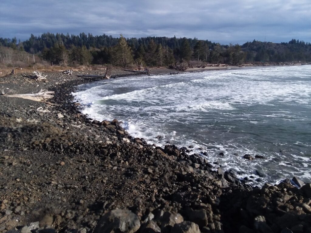 a rocky beach with a large body of water and trees in the background (MyCoast AI)