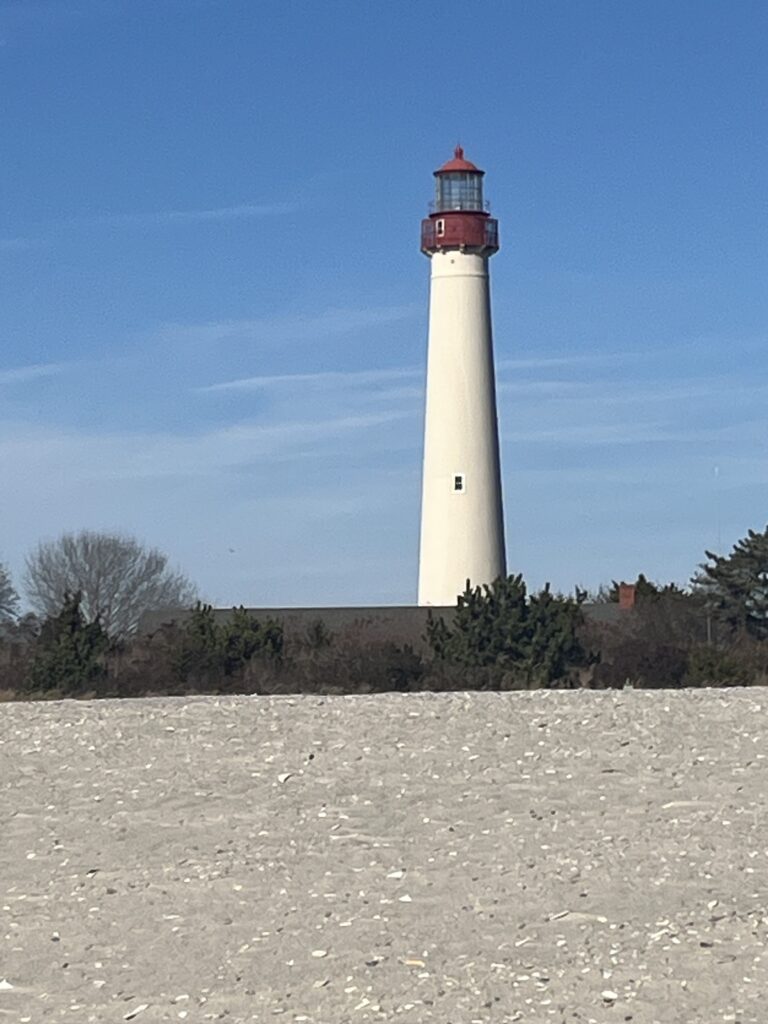 a lighthouse on a rocky beach (MyCoast AI)