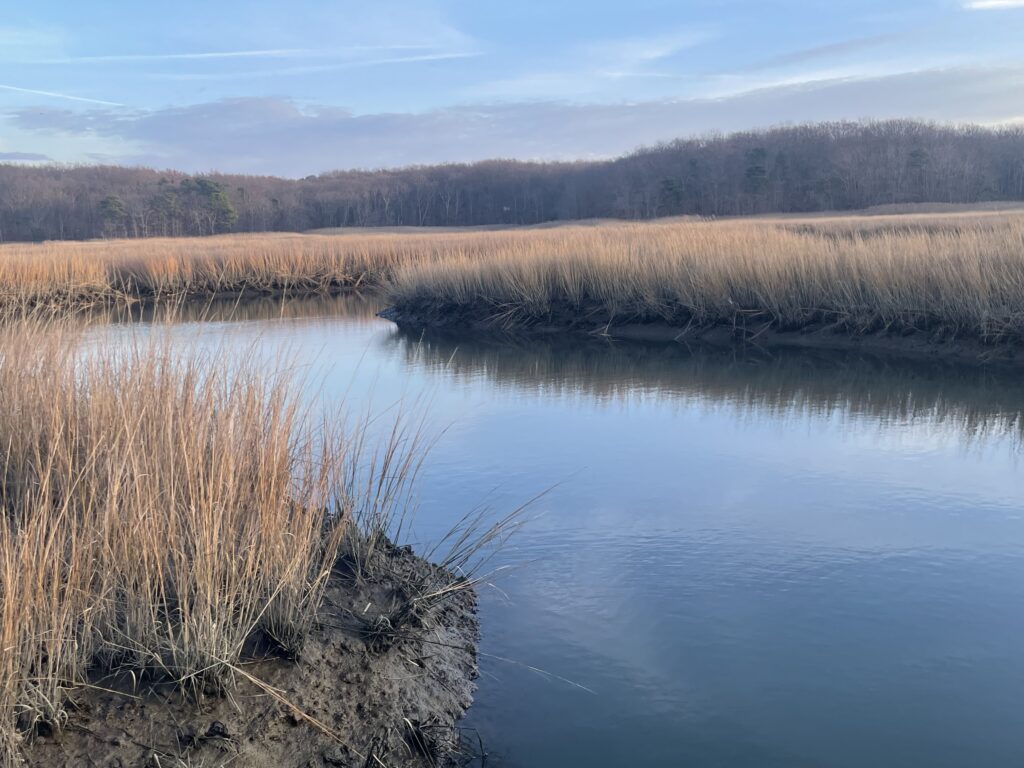 a body of water with grass and trees around it (MyCoast AI)