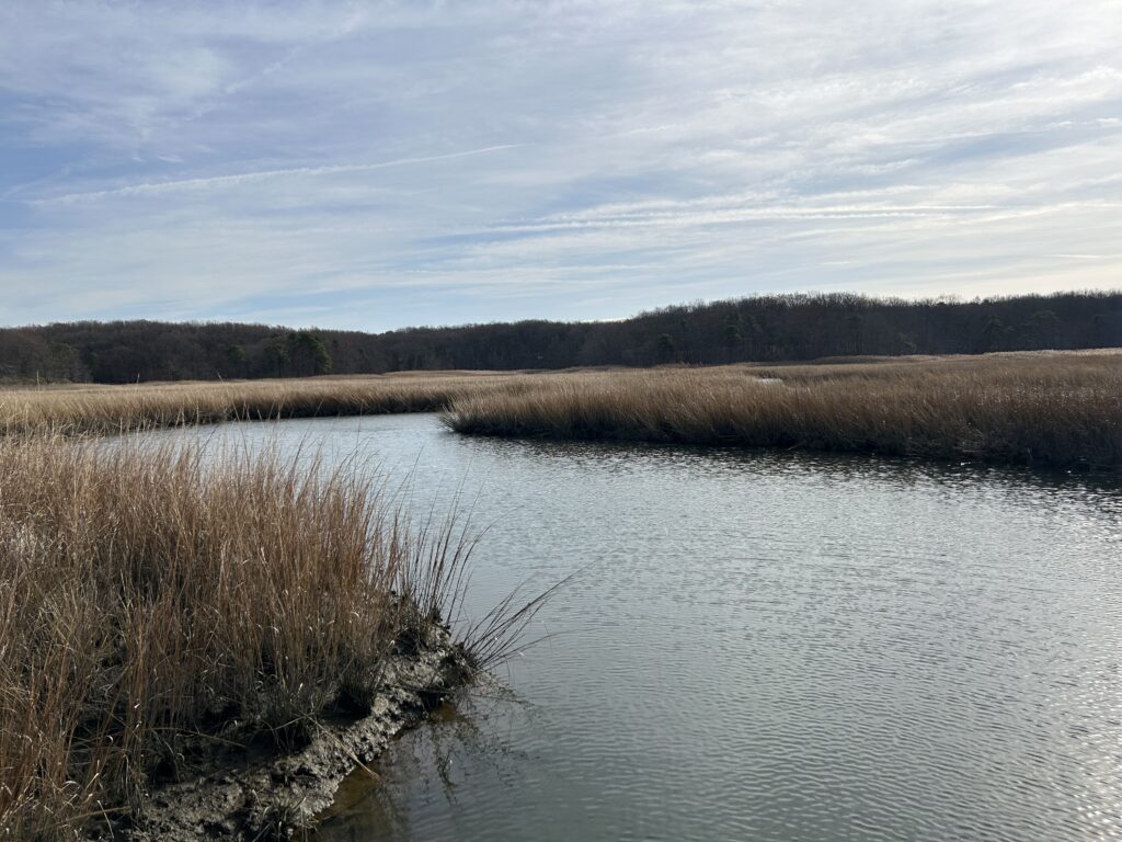 a body of water with grass and trees in the background (MyCoast AI)