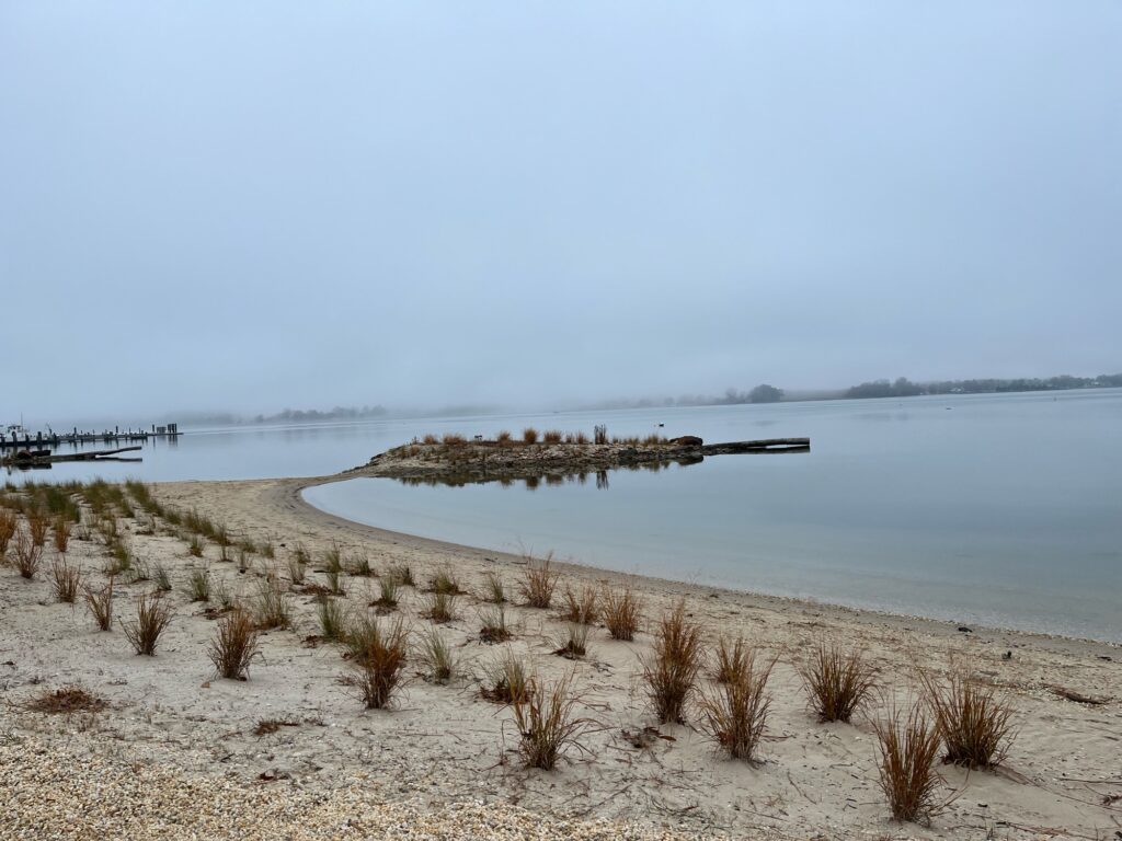 a sandy beach with a pier and a body of water (MyCoast AI)