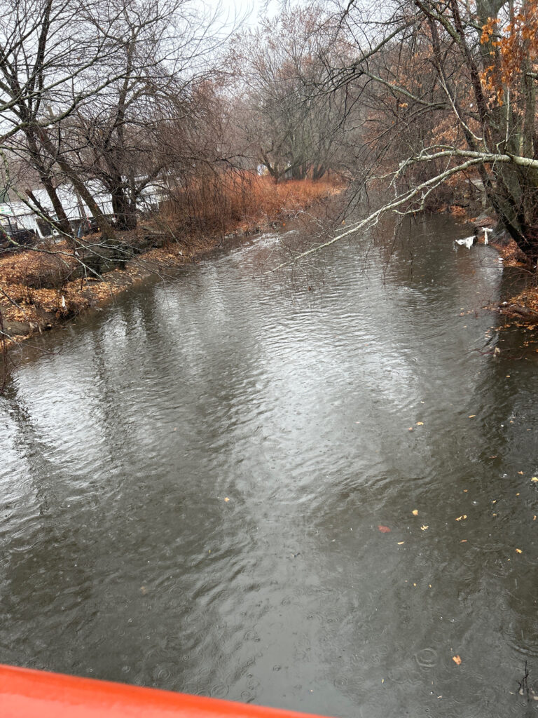 a river with trees on the side (MyCoast AI)