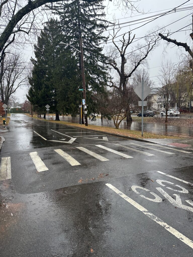 a street with trees on the side (MyCoast AI)
