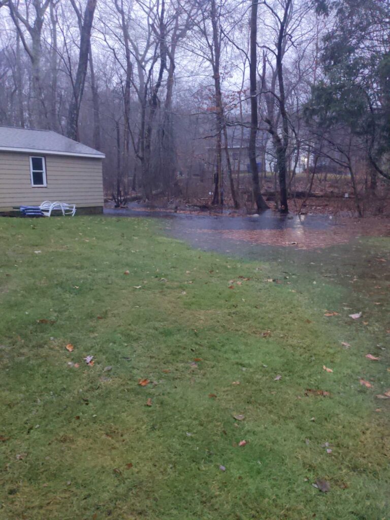 a small pond in a yard (MyCoast AI)