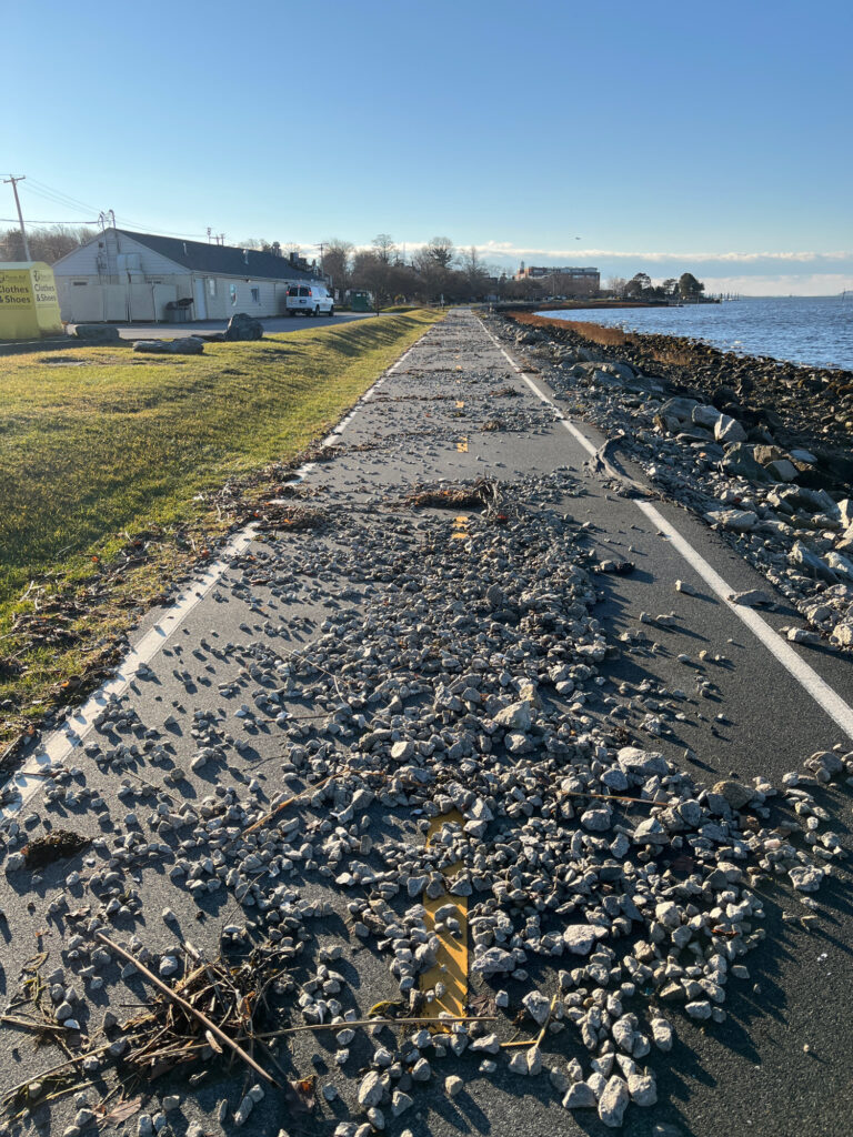 a road with rocks and grass by a body of water (MyCoast AI)