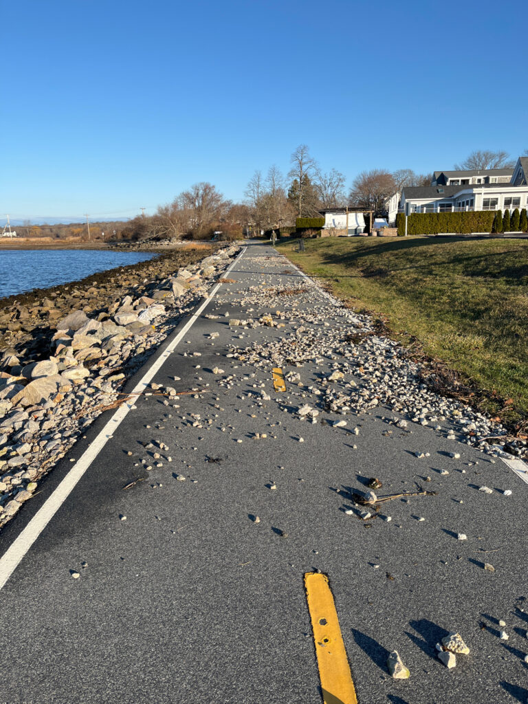 a road with a line of ducks on the side and grass on the side (MyCoast AI)