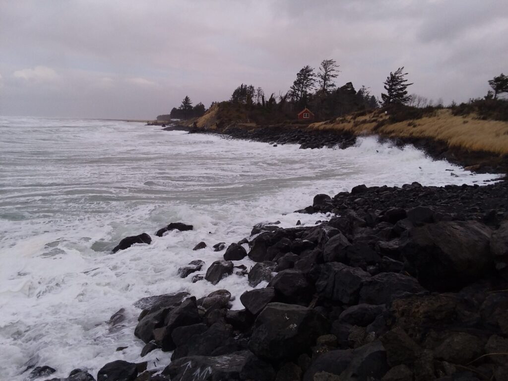 a rocky beach with trees and a hill in the background (MyCoast AI)