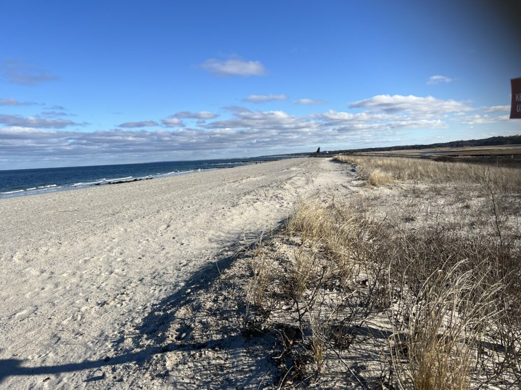 a sandy beach with bushes and water (MyCoast AI)