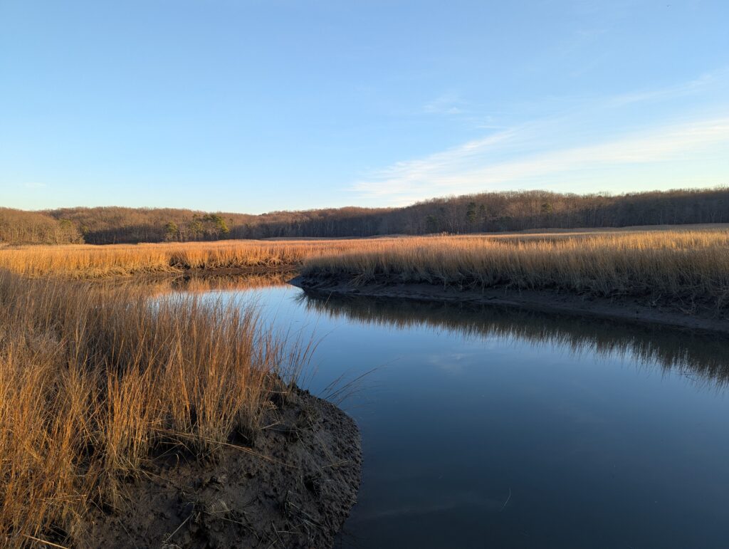 a body of water with grass and trees around it (MyCoast AI)