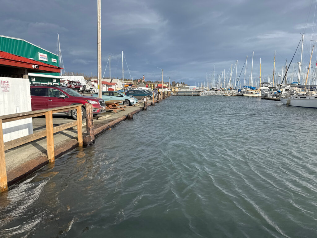 a dock with boats in it (MyCoast AI)
