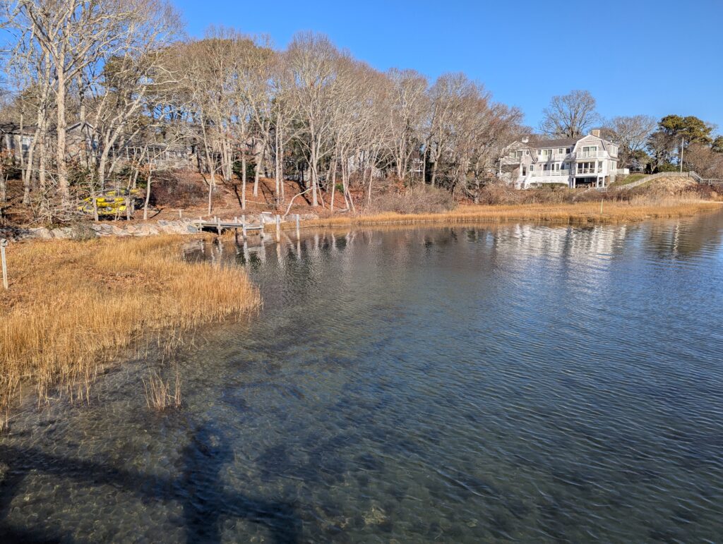 a body of water with trees and a house in the background (MyCoast AI)