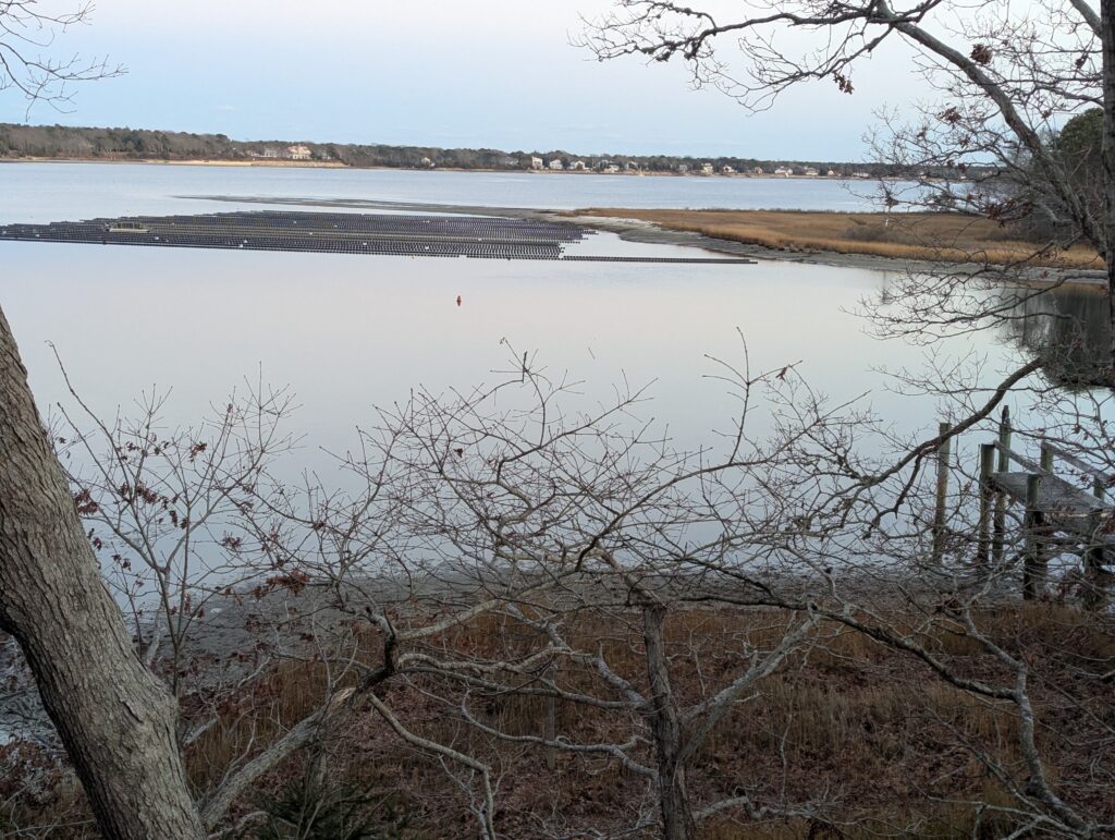 a body of water with trees around it (MyCoast AI)