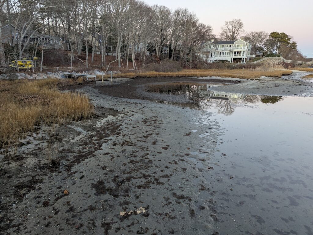 a frozen pond with a house in the background (MyCoast AI)