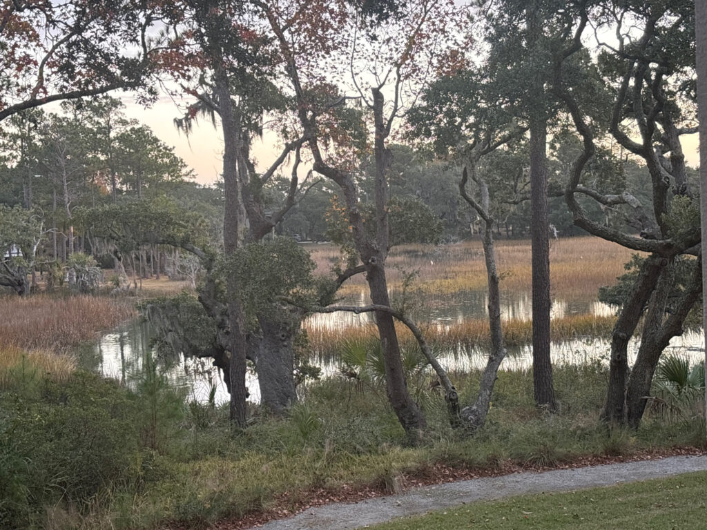 a river with trees and grass (MyCoast AI)