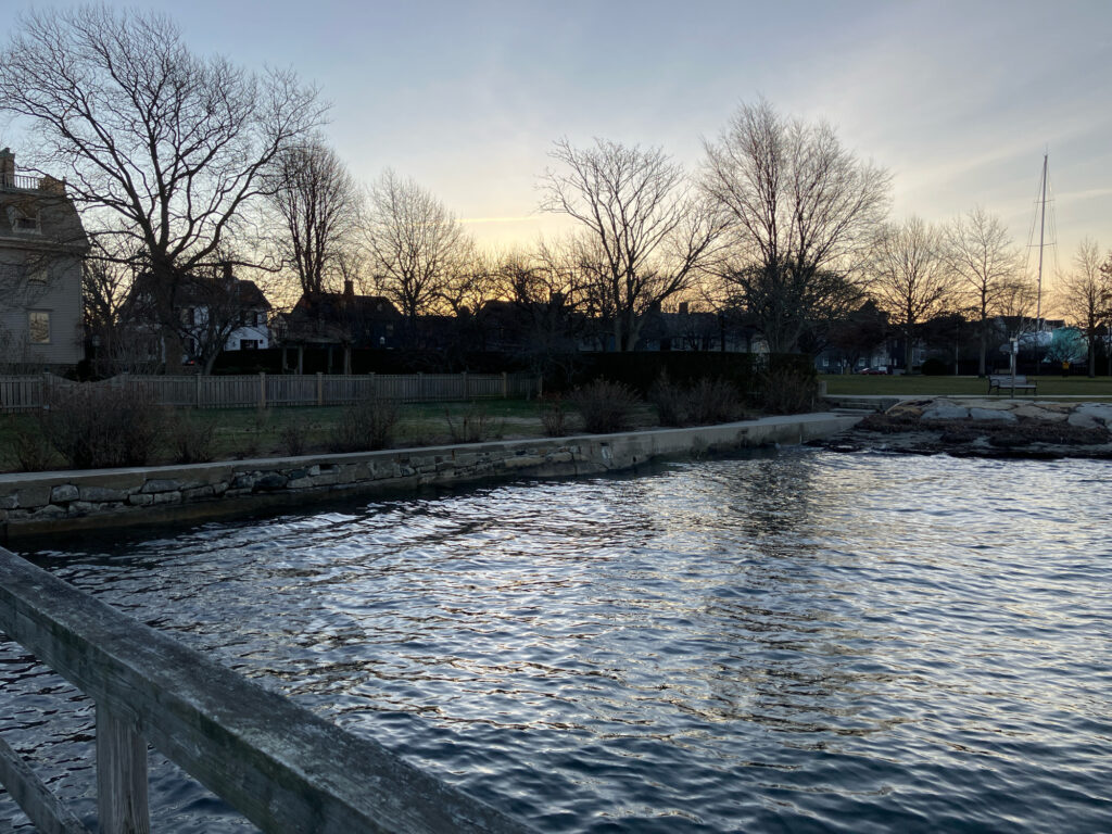 a river with a bridge and trees (MyCoast AI)