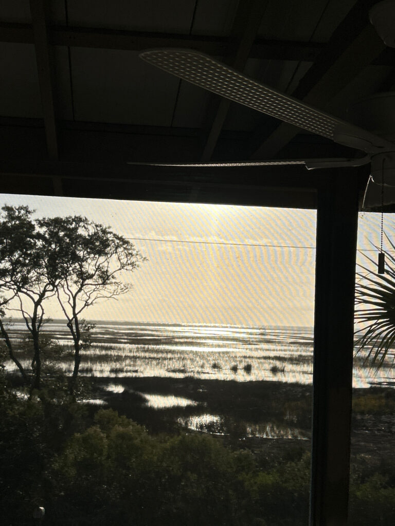 a view of the ocean from a wooden structure (MyCoast AI)