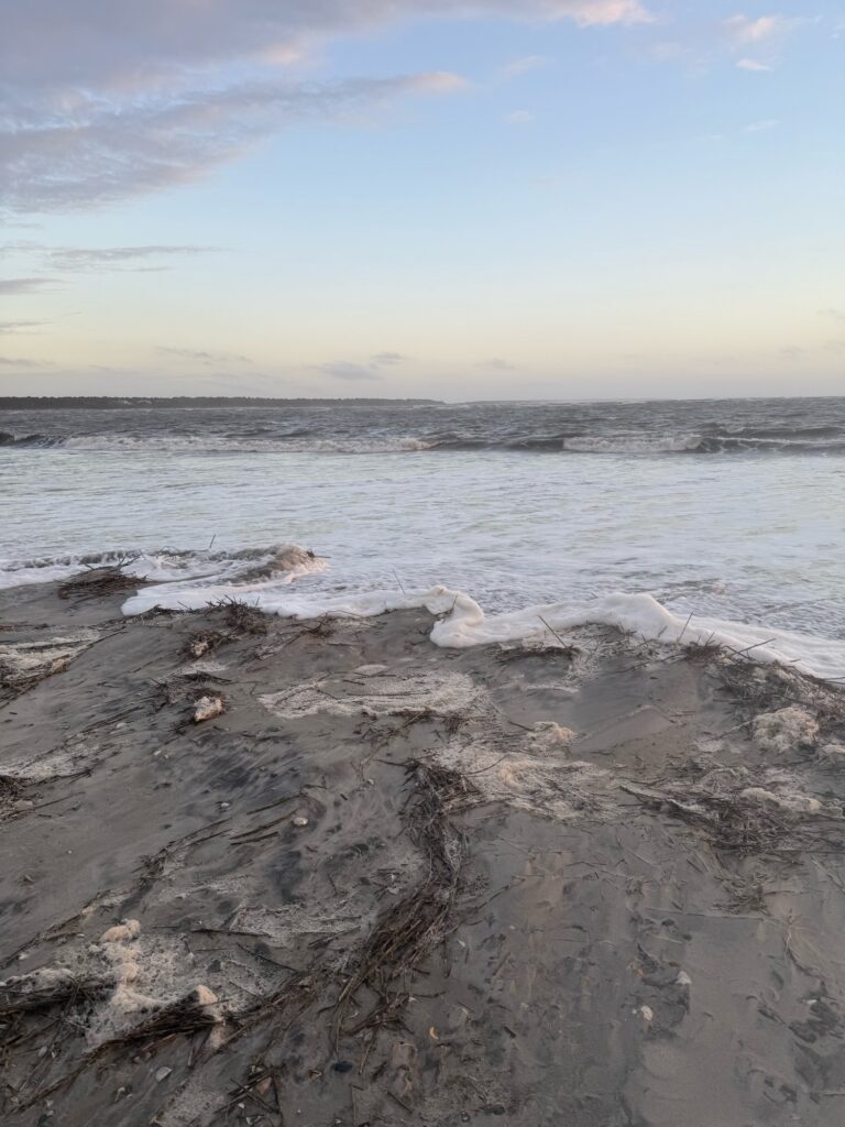 a rocky beach with waves crashing (MyCoast AI)