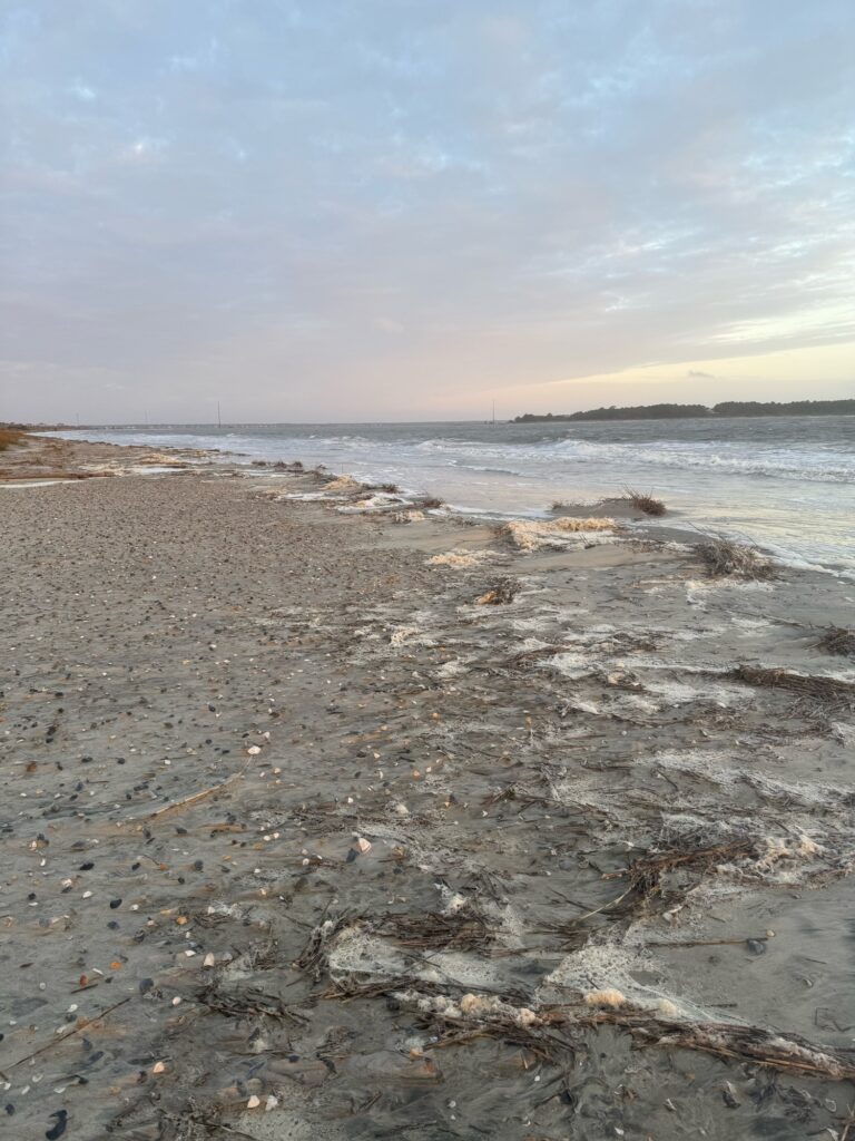 a rocky beach with waves crashing (MyCoast AI)