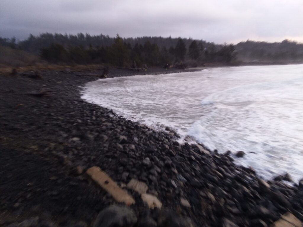 a rocky beach with a body of water and trees in the background (MyCoast AI)