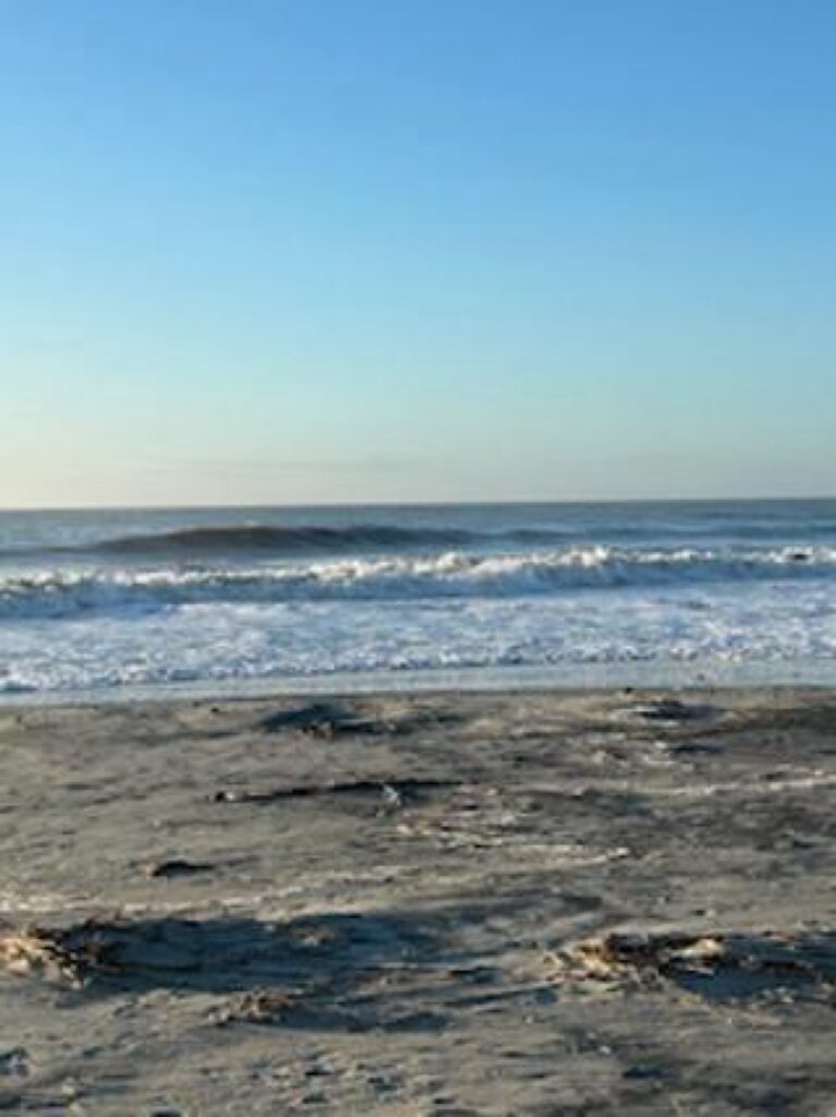 waves crashing on a beach (MyCoast AI)
