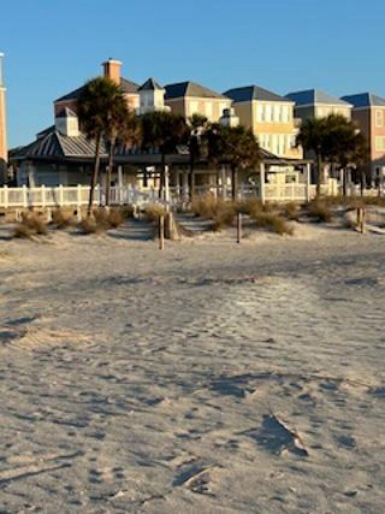 a beach with houses in the background (MyCoast AI)