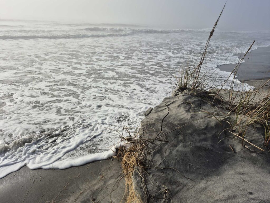 a beach with waves crashing (MyCoast AI)
