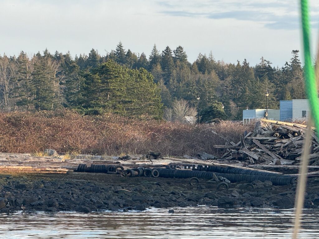 a large pile of wood next to a body of water (MyCoast AI)
