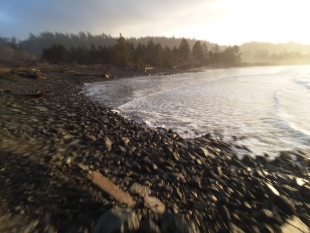 a river with a forest in the background (MyCoast AI)