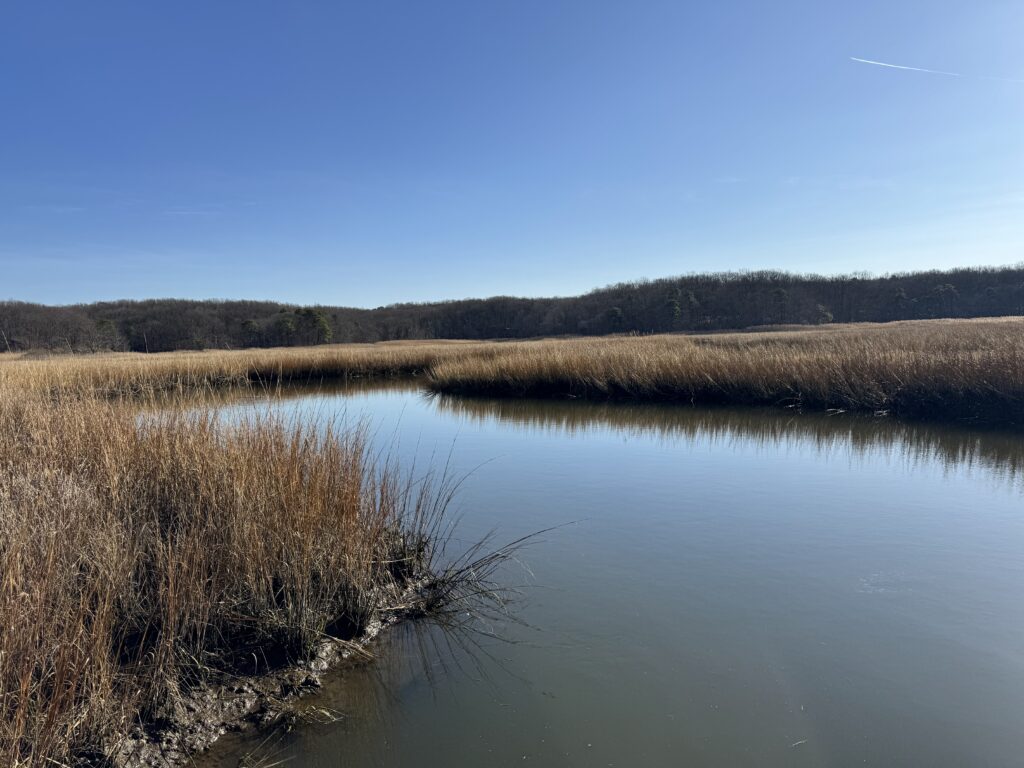 a body of water with grass and trees around it (MyCoast AI)