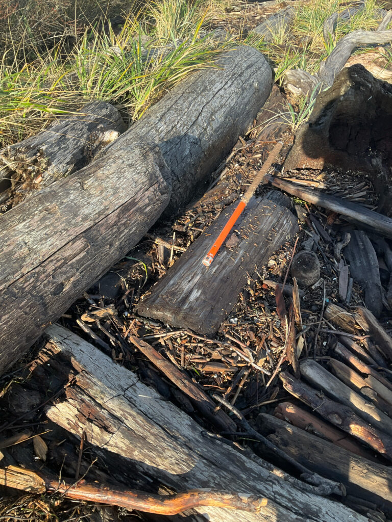a log with a stick in it (MyCoast AI)