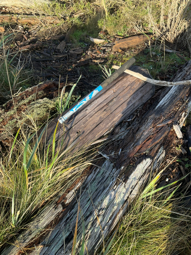 a log in the grass (MyCoast AI)