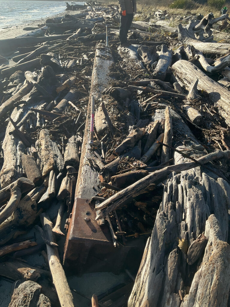 a person standing on a beach (MyCoast AI)