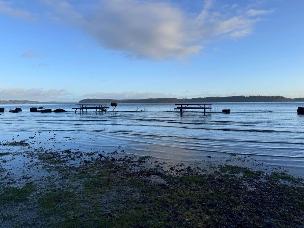 a body of water with a dock and a group of boats in it (MyCoast AI)