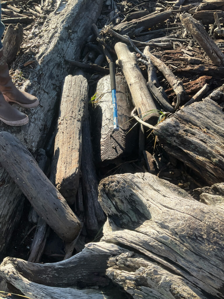 a pile of wood and sticks (MyCoast AI)