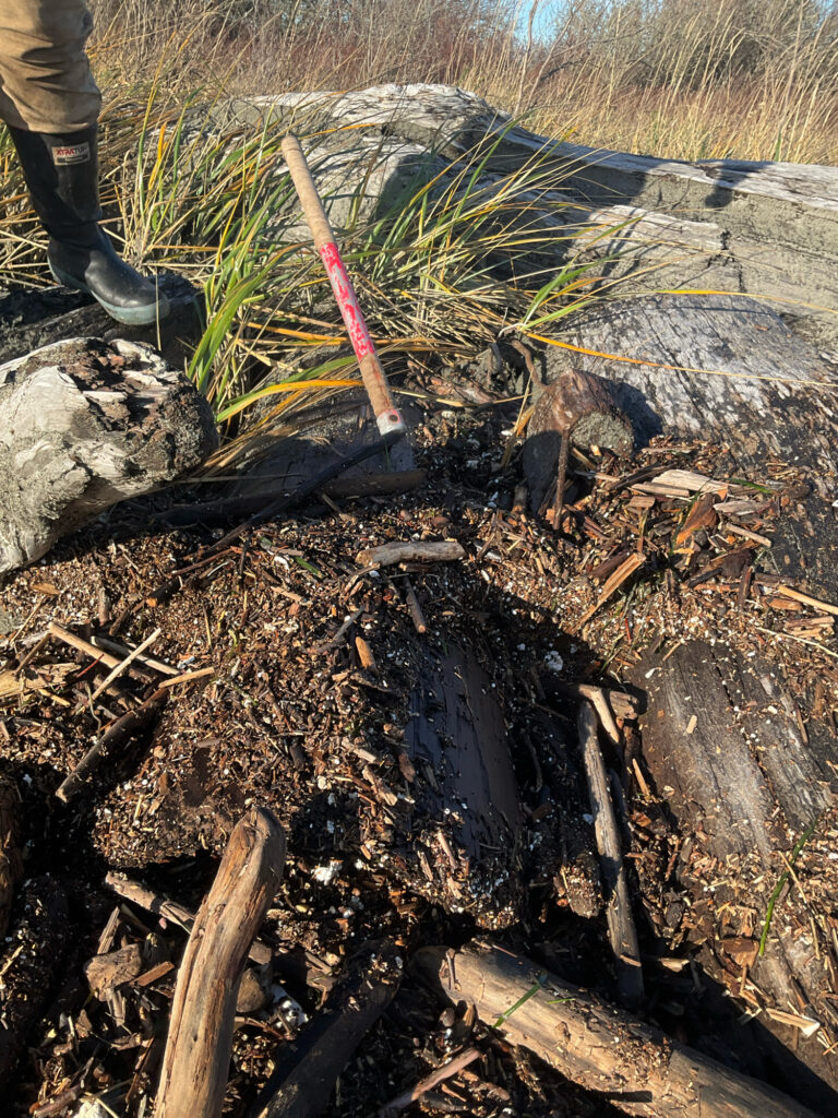 a person standing next to a fire (MyCoast AI)