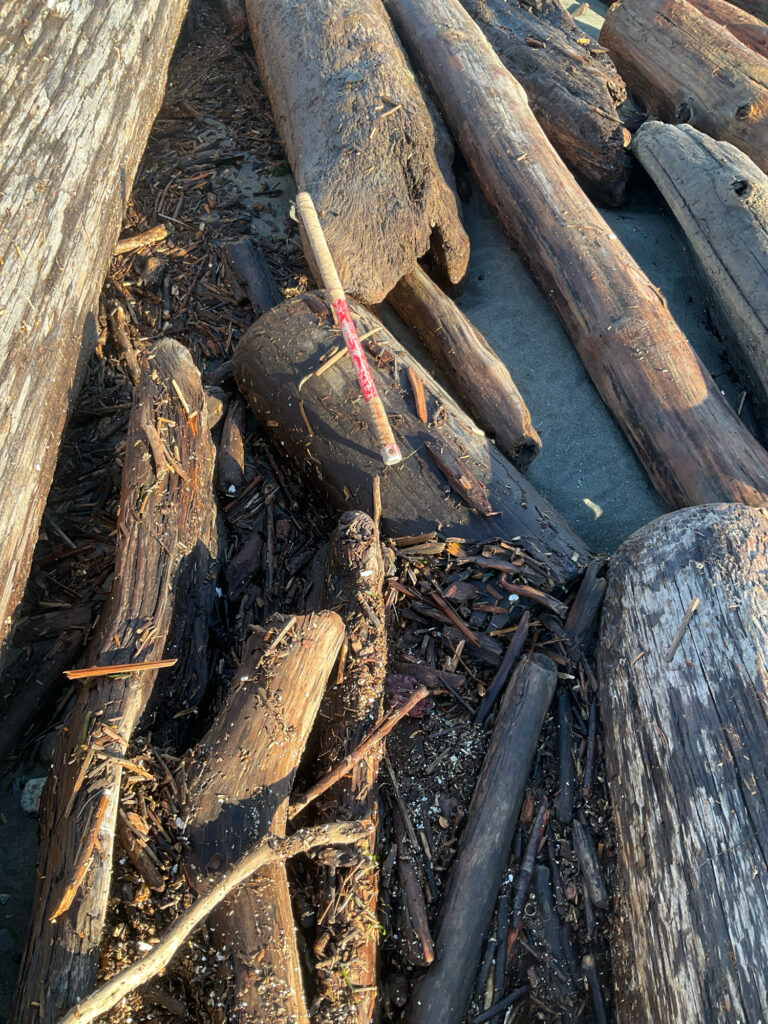 a pile of wood (MyCoast AI)