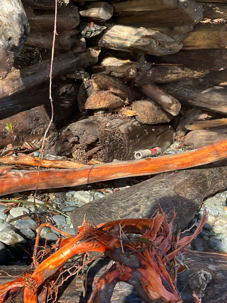 a pile of logs (MyCoast AI)
