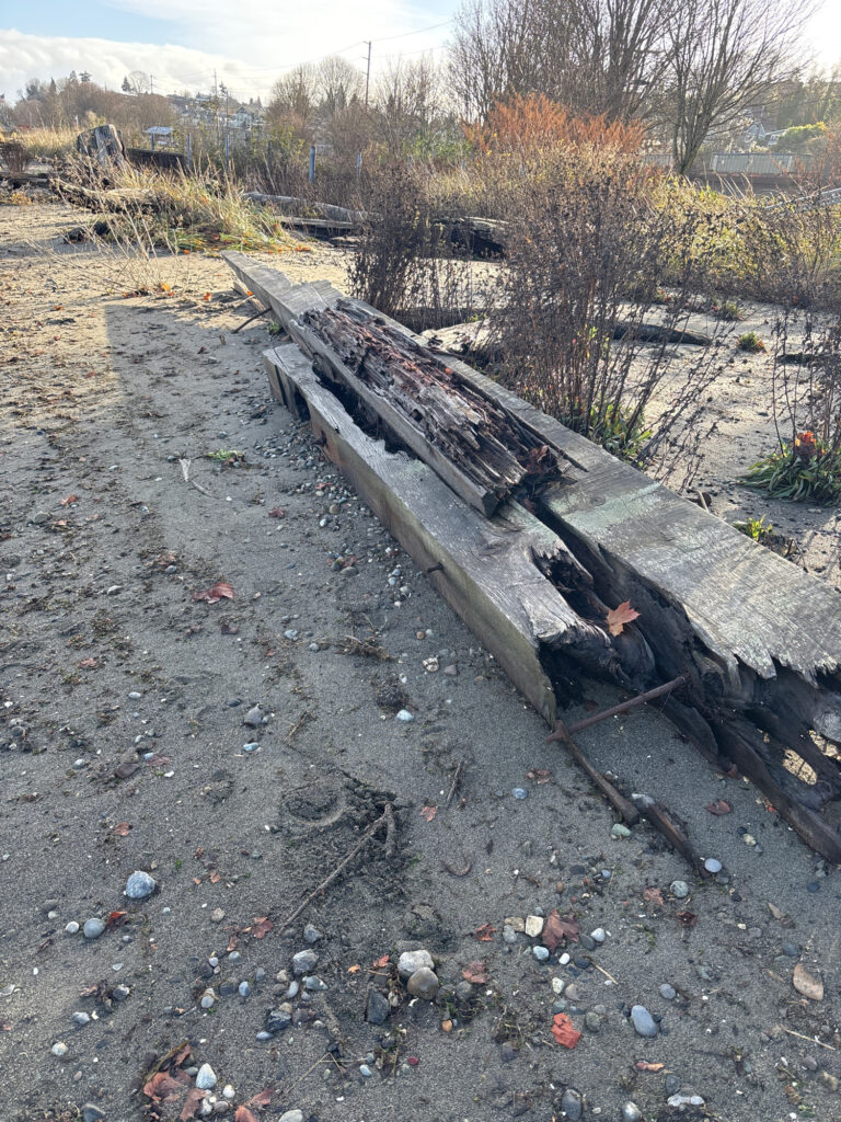 a bench sits unoccupied (MyCoast AI)