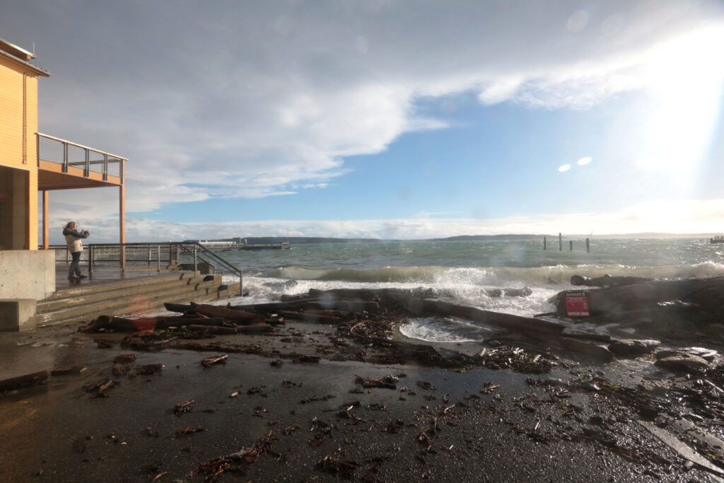 a person standing on a dock next to a body of water (MyCoast AI)