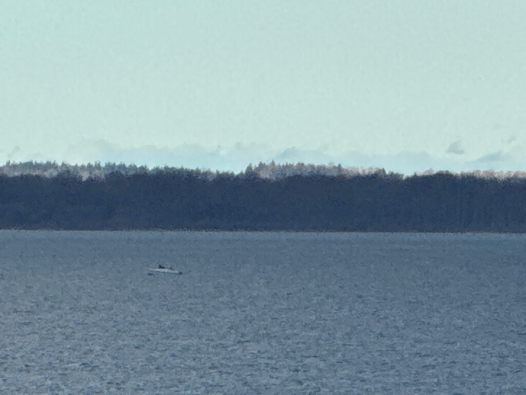 a boat on the water (MyCoast AI)