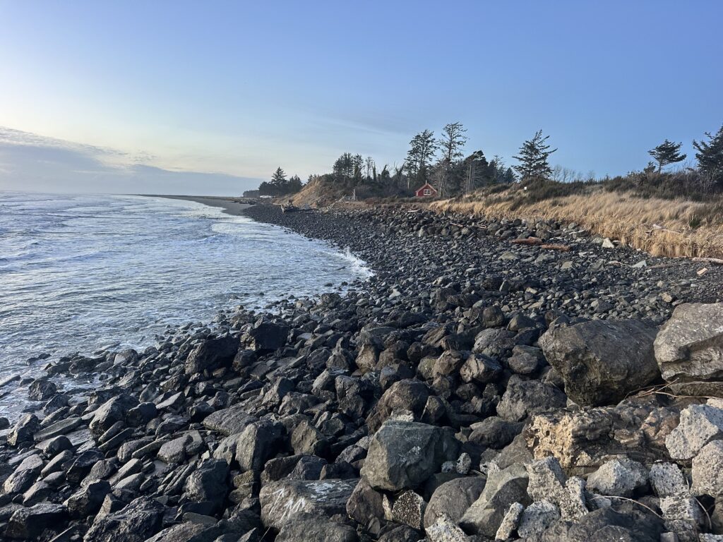 a rocky shore with trees and a body of water in the background (MyCoast AI)