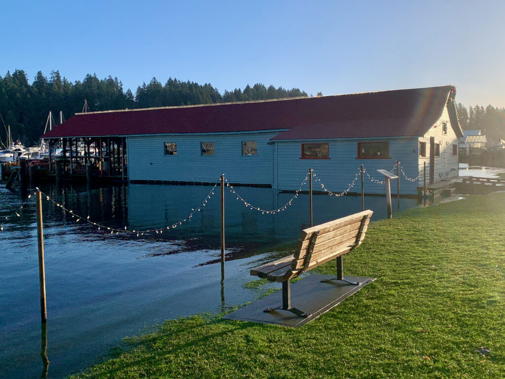 a bench sits in the middle of a lake (MyCoast AI)