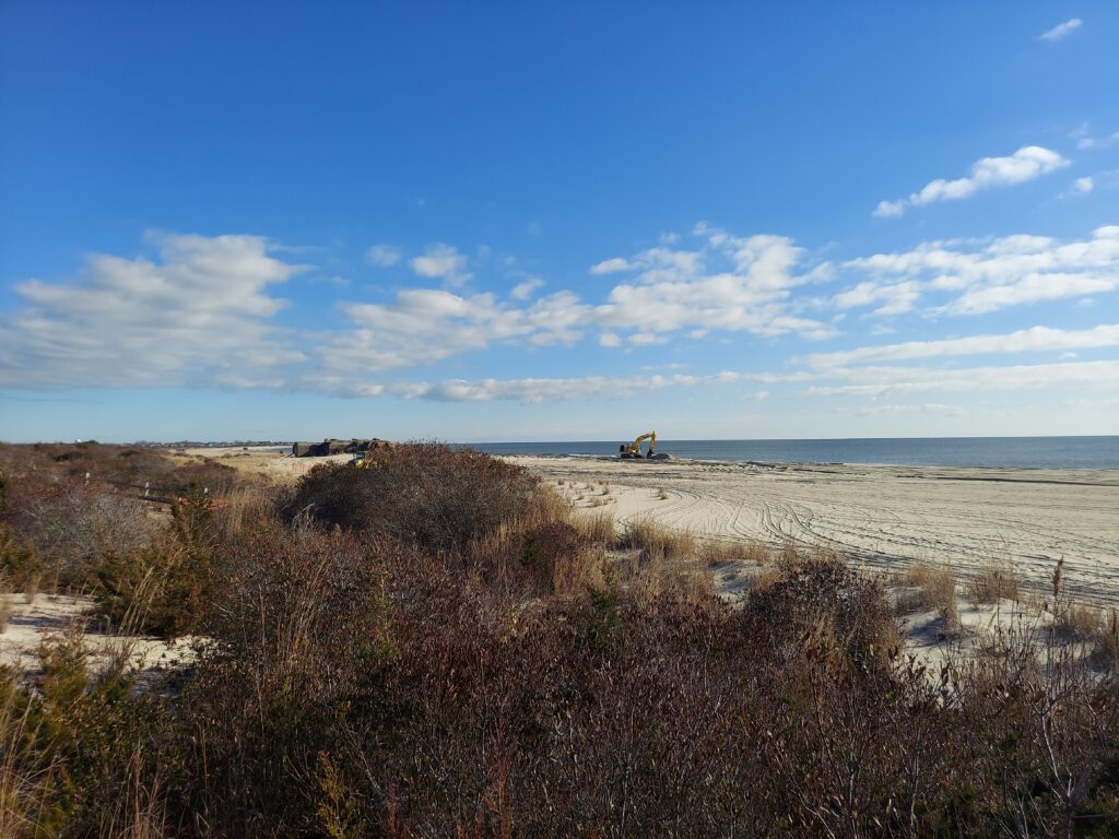 a sandy beach with bushes and a body of water in the background (MyCoast AI)