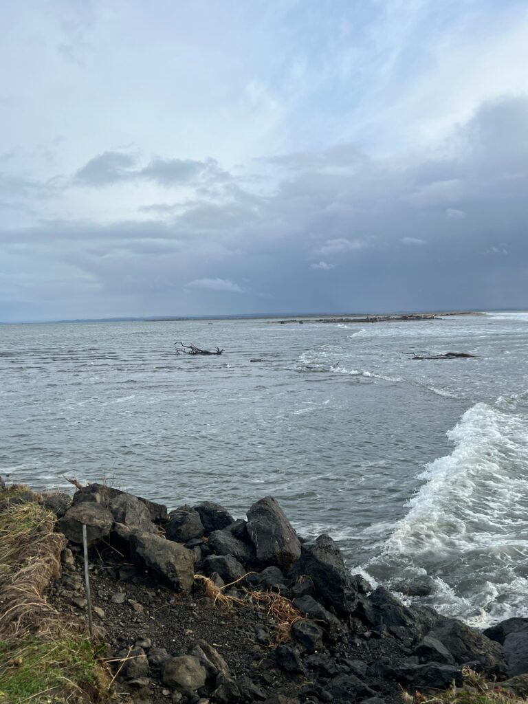 a rocky beach with waves crashing (MyCoast AI)