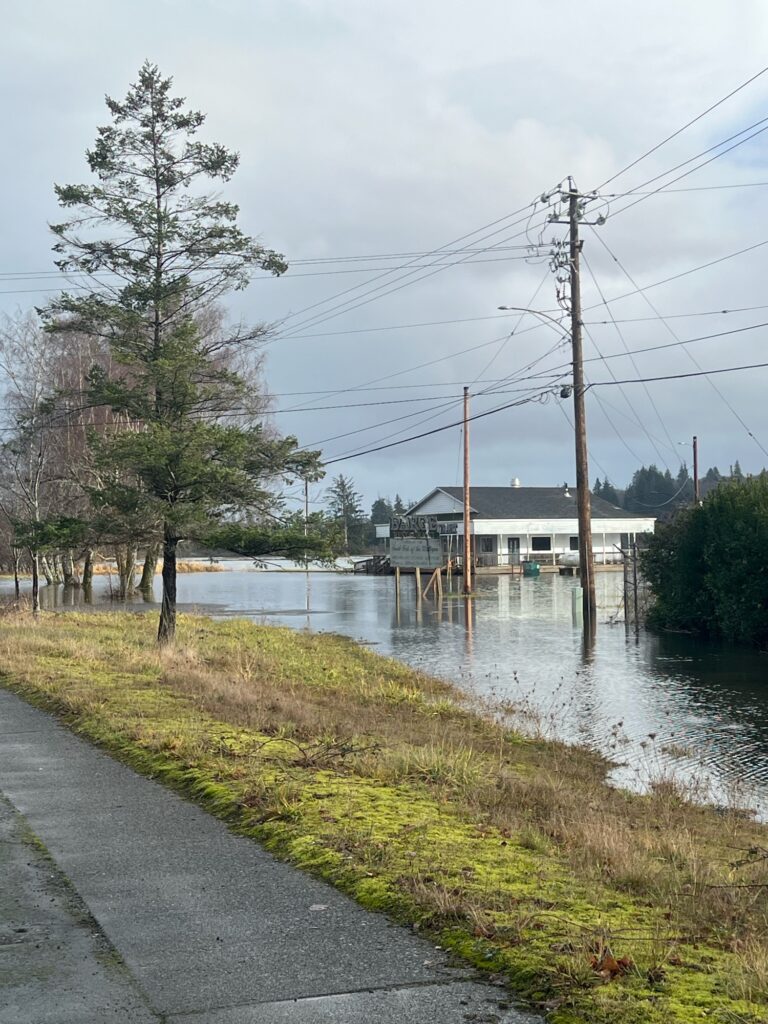 a flooded street with a house and trees (MyCoast AI)