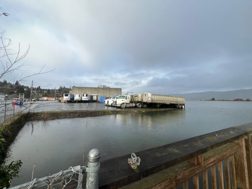 a body of water with a dock and buildings along it (MyCoast AI)
