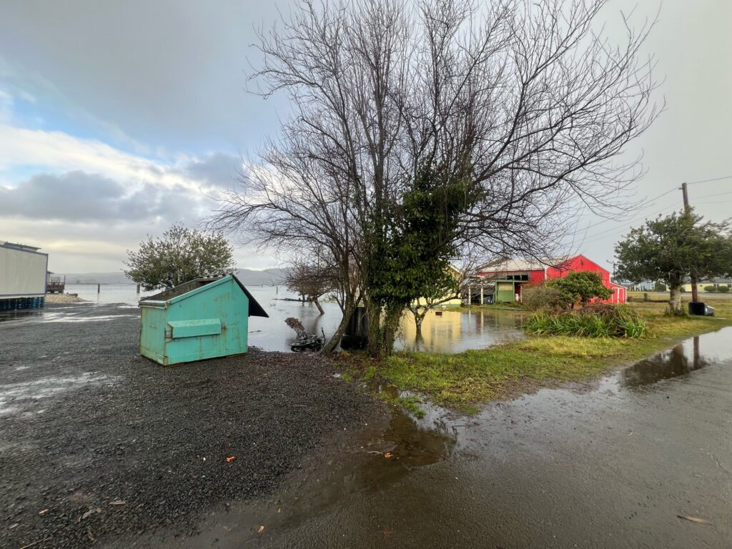 a tree next to a body of water (MyCoast AI)