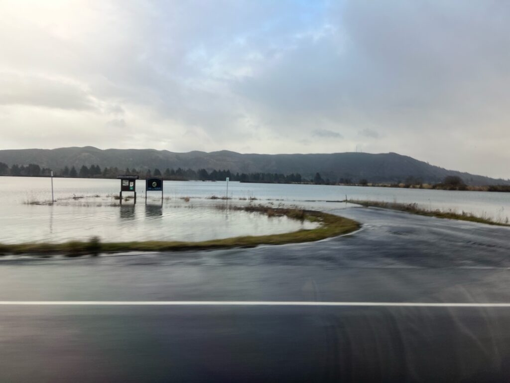 a road with water on the side (MyCoast AI)