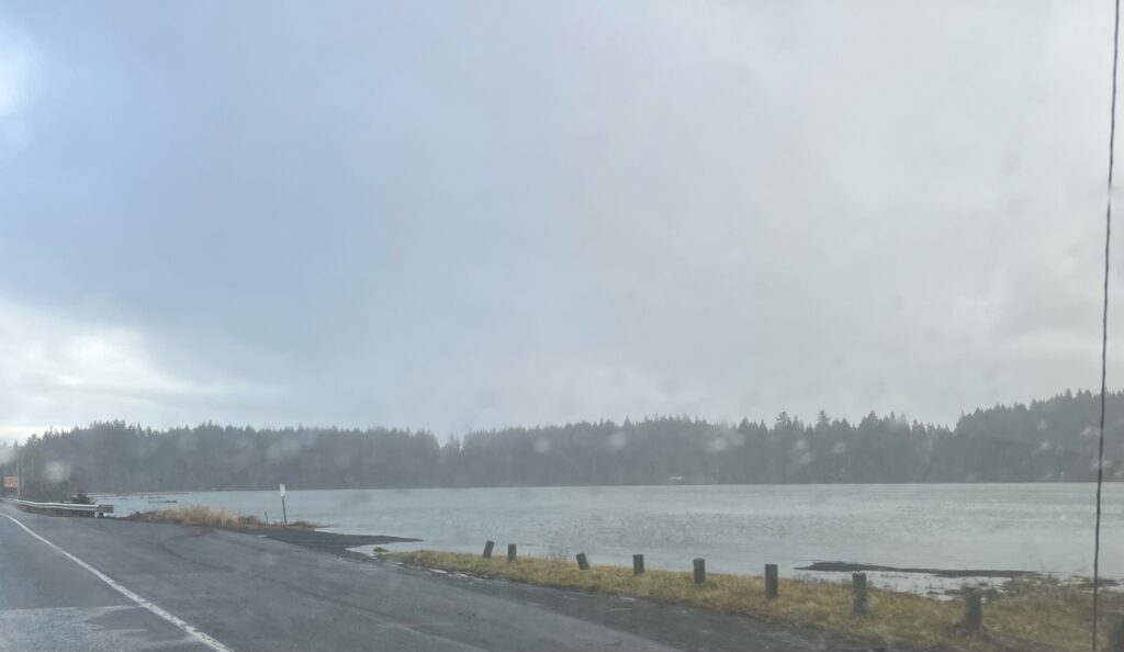 a road next to a body of water (MyCoast AI)
