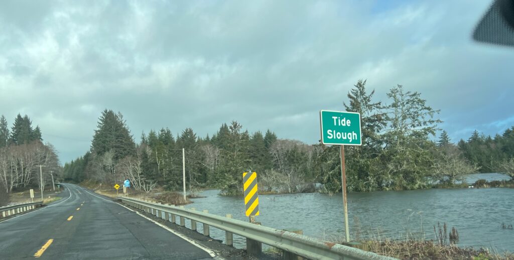 a road with a sign on it by a body of water (MyCoast AI)